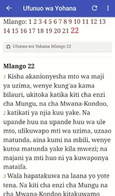 Bible in Swahili android App screenshot 0